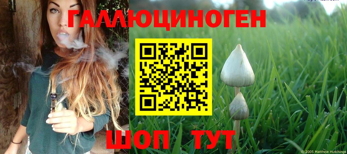 Галлюциногенные грибы Magic Shrooms  Вход с VPN  Псилоцибиновые грибы Magic Shrooms  Туймазы 
